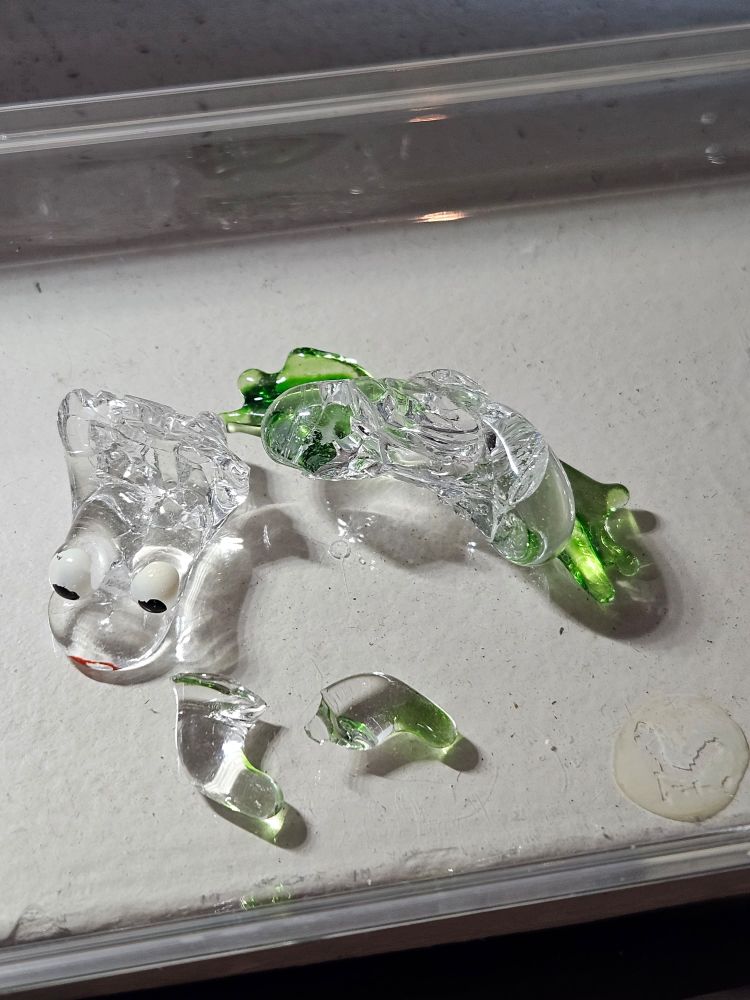 In a flat plastic container placed on a white surface lie the broken glass remains of a glass frog given to me by my mother for a birthday long past. It has black and white googly eyes, a spot of red on its lips though it's been rubbed away a little, and its limbs are tinged a light green. The rear end and rear legs have already been glued together, as has the protruding mouth and the rest of the head. The head, rear, and two front legs are still separated.