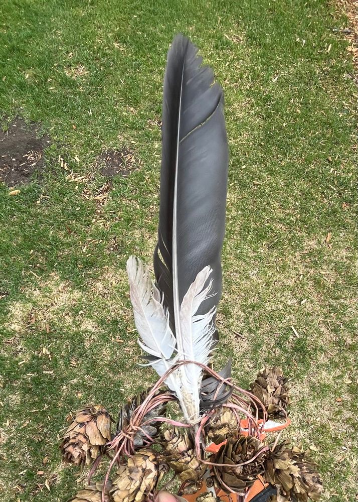 the feathers i took and the thing i put them on (it’s like some sort of acorn wreath thing i don’t even know)