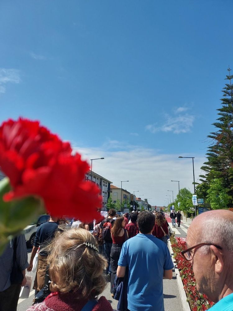 Avenida 25 de abril em Aveiro com desfile do 25 de abril e um cravo