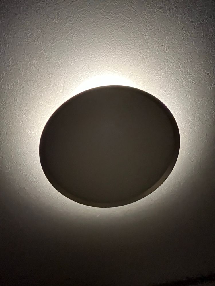 今日はお手紙もプレゼントも届いて、しかも、朝からコギも見れて(なんと！)サイッコーな日になりました☺️