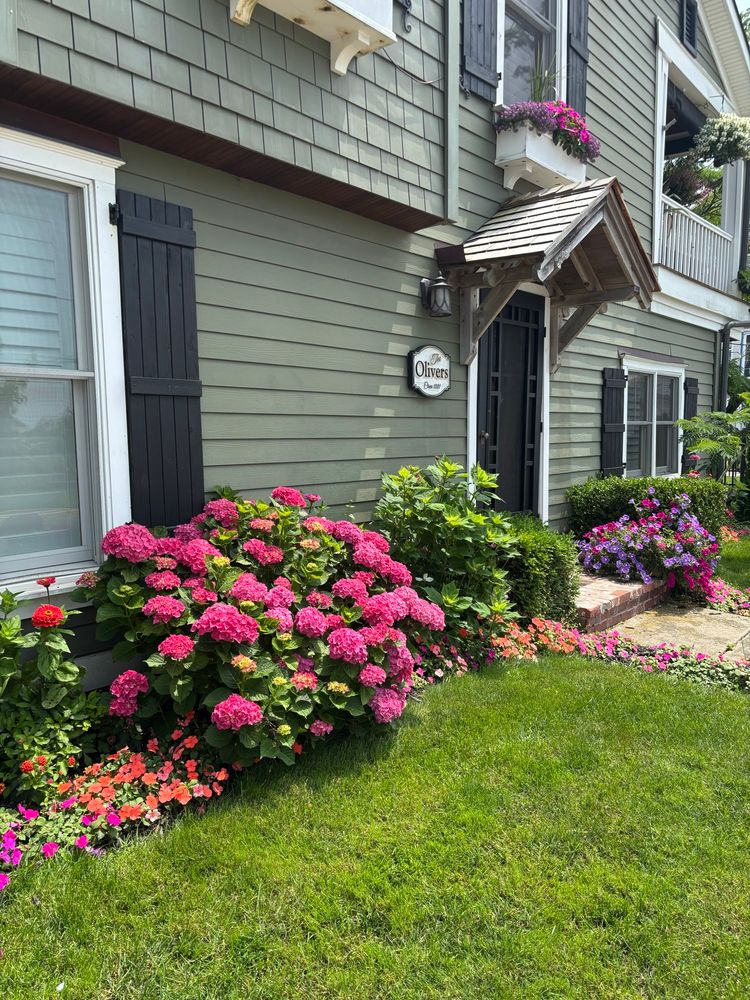front of a house with lots of flowers planted, including shocking hot pink hydrangeas