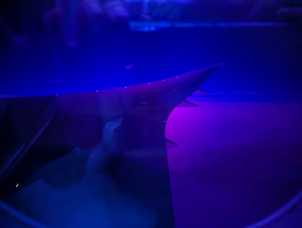 Plane wing in blue light 