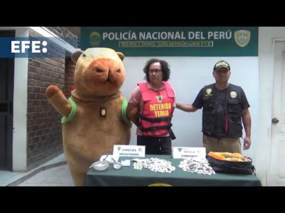 Policía peruano se disfraza de la 'Capibara del amor' para capturar a traficante de drogas