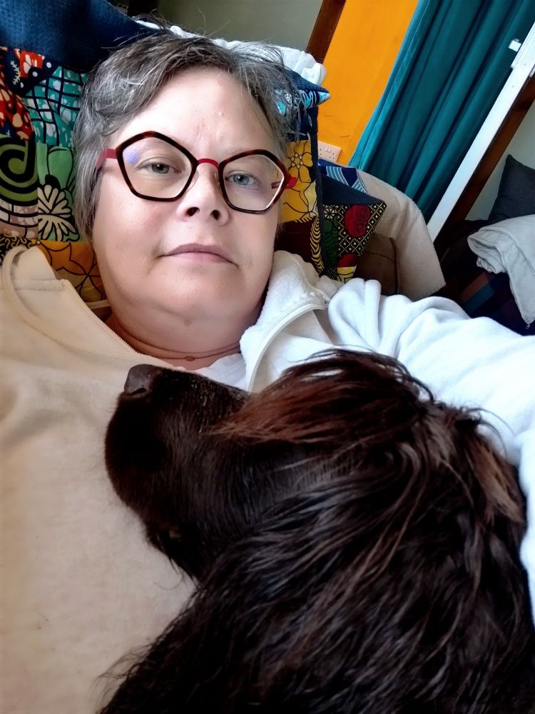 A chocolate spaniel lies sleeping on a person. 