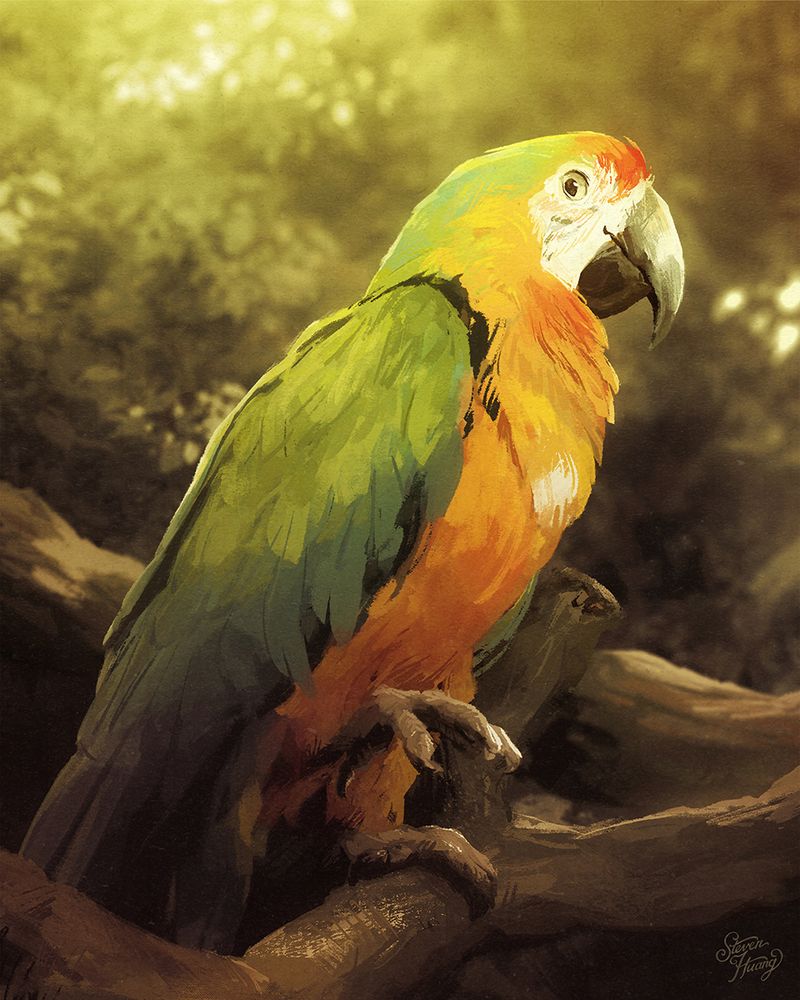 Painting of a macaw.