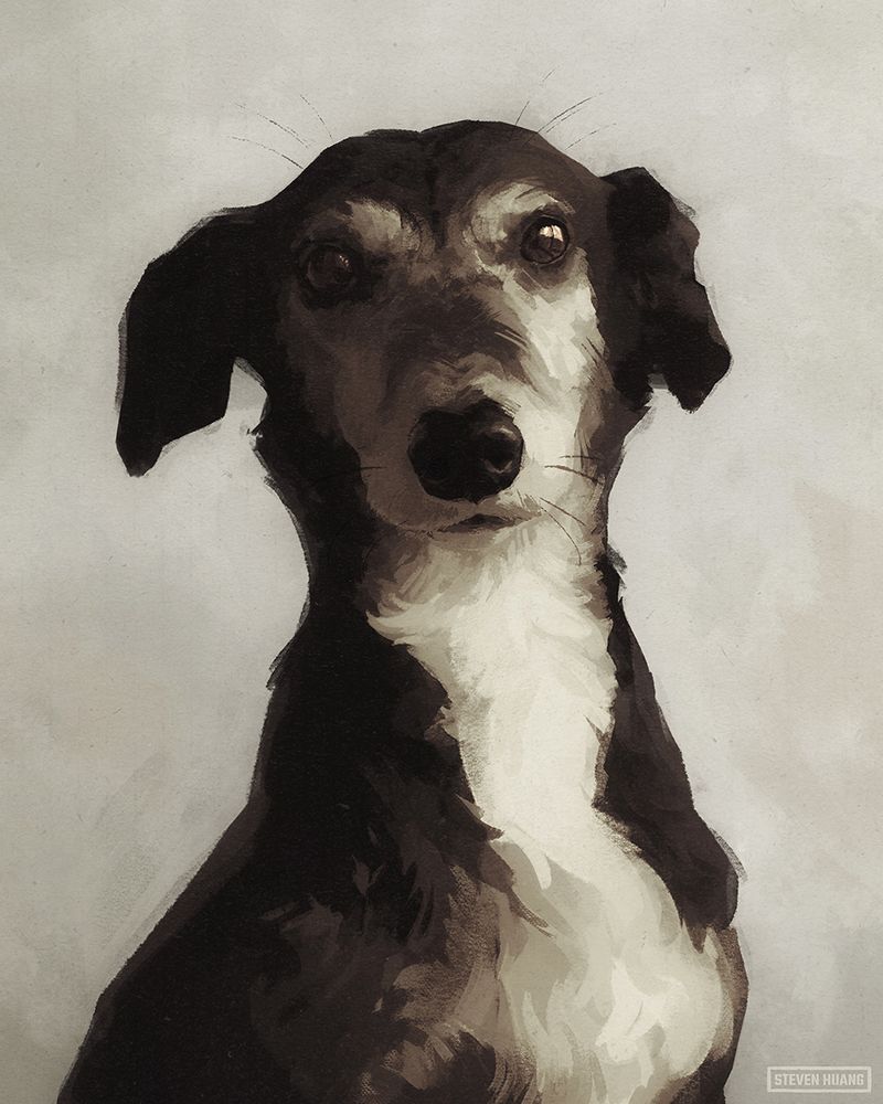 Painted portrait of a whippet dog.
