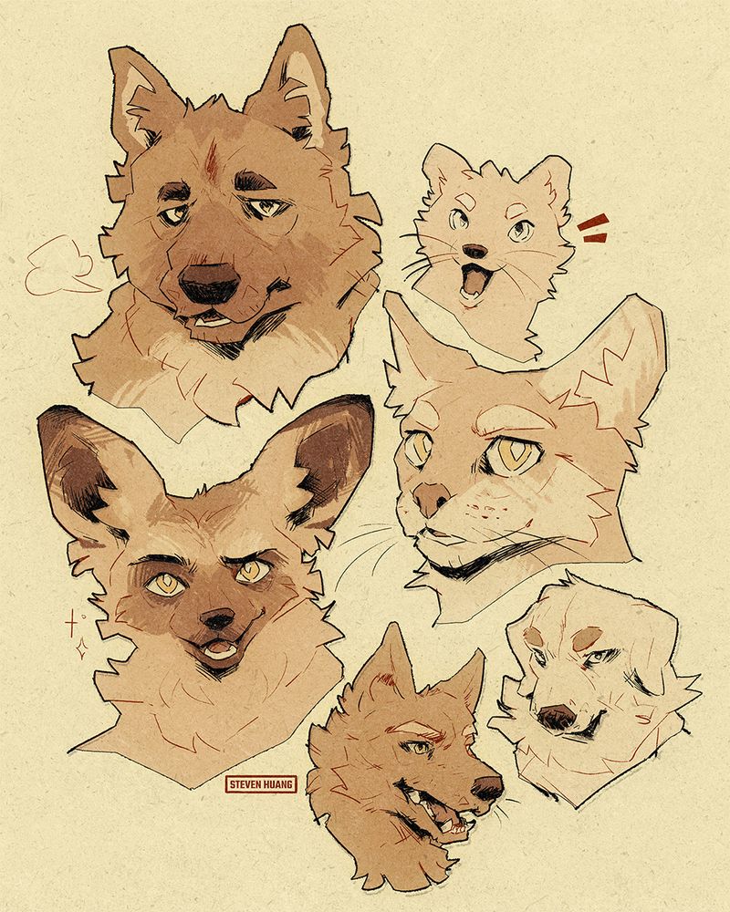 Sketched portraits of dogs, a marten, a cat, and a bat-eared fox.