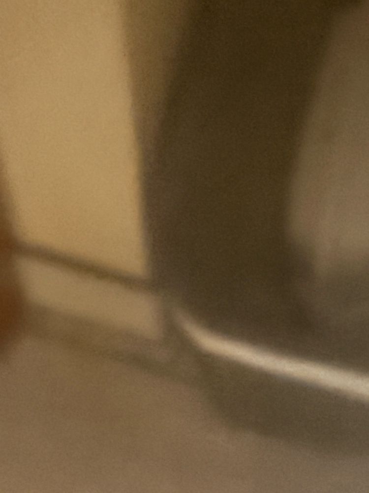 DRY FRIES IN THE TRASH WHERE THEY BELONG!!!!!!!!