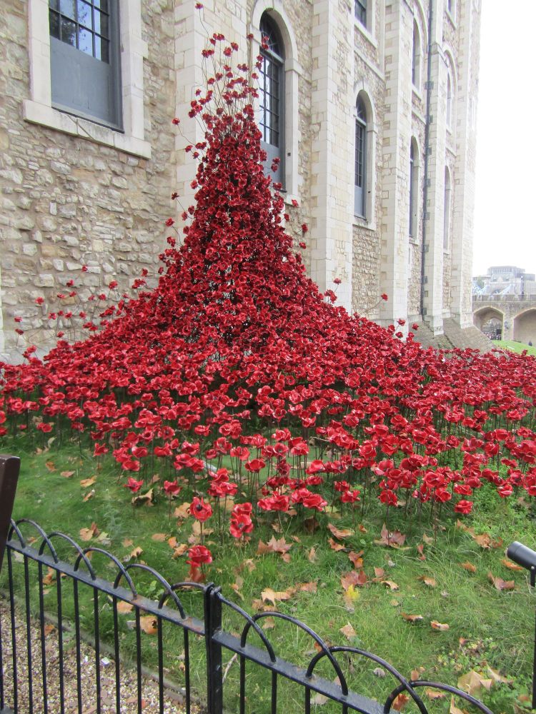A cascade of faux poppies, with metal stems and centers and red ceramic petals, pours down the side of one of the buildings and into the grass at the Tower of London.