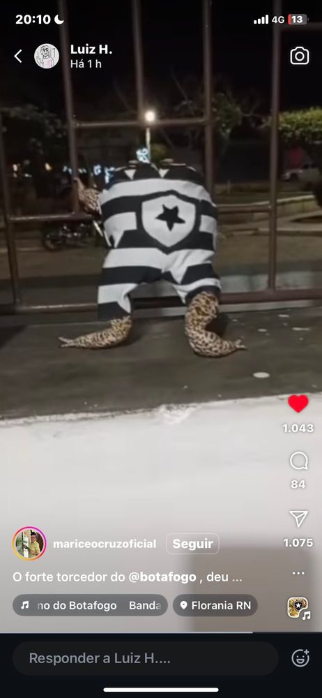 O sapo está NA JANELA. Patinhas dianteiras apoiadas na grade, como se tivesse em pé. Ta com o mesmo macacãozinho com o escudo nas costas