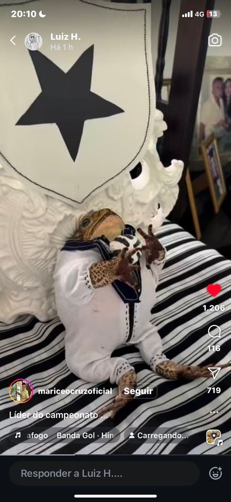 Um sapo usando um macacaozinho branco com DETALHES pretos. Ele ta meio que em pé, de frente. Encostado num escudo do Botafogo invertido, escudo branco com estrela preta