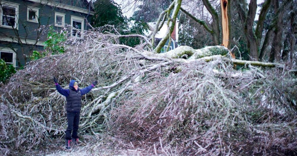 Portland Police Guard Dumpsters To Stop People Taking Discarded Food