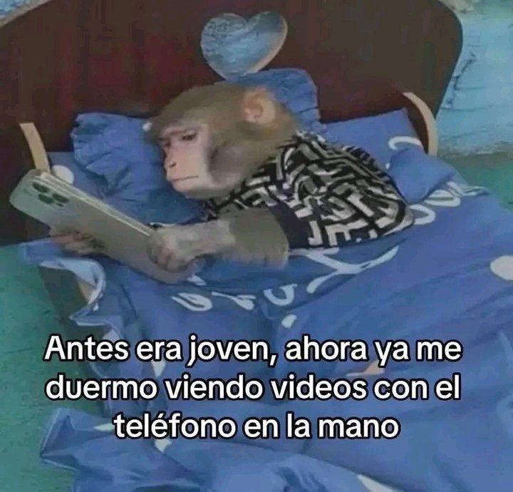 Un mono en pijama metido en una camita con sábanas azules y un móvil en la mano, y el texto "Antes era joven, ahora ya me duermo viendo vídeos con el teléfono en la mano"