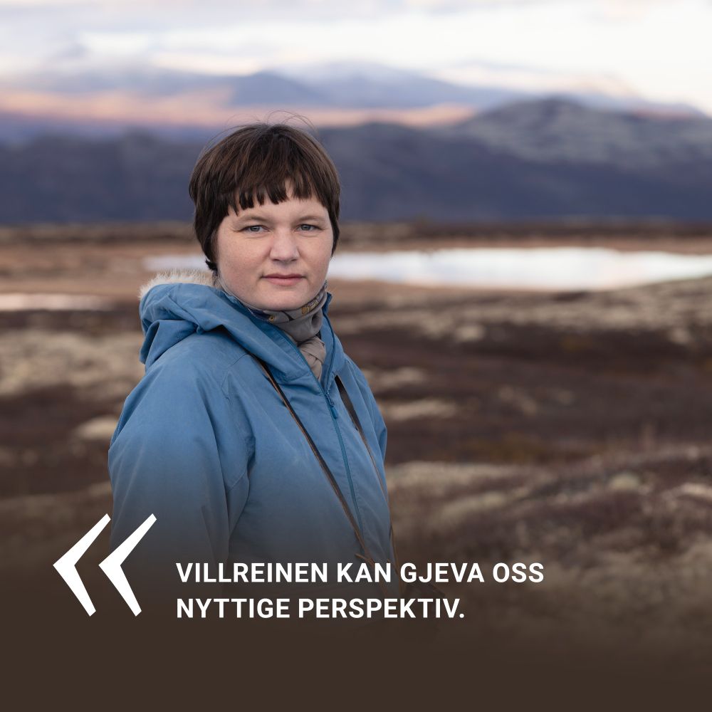 «Villreinen kan gjeva oss nyttige perspektiv. Arten peiker ut nokre av dei største problema samfunnet vårt skapar: Arealendringar, klimaendringar, overforbruk.

Naturen er meir verdt kvadratmeter for kvadratmeter enn det vi kan utvinne ved å forbruke han. Å ta vare på villreinen handlar om respekt for naturen og livet.

Om vi klarer å ta vare på villreinen i eit langt perspektiv, trur eg vi menneske òg vil få betre og meir meiningsfulle liv.»

Guri Sørumgård Botheim
Nestleiar
La villreinen leva!