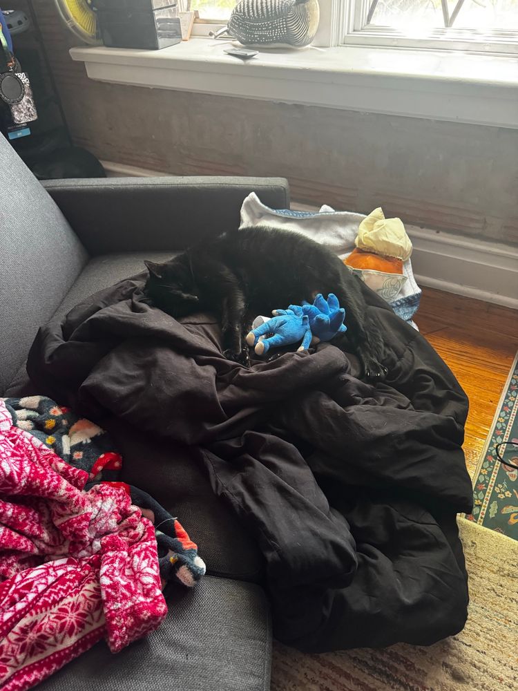 Black cat laying on blank blanket with a sonic the hedgehog stuffed toy hanging off the edge of a couch