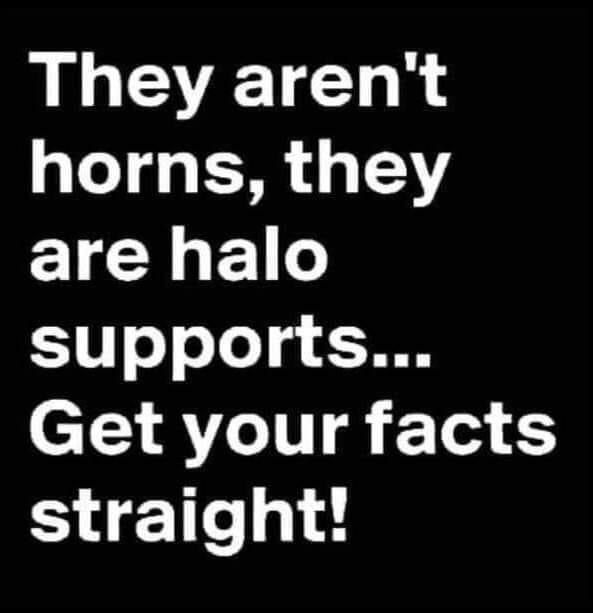 White lettering on a black background: They aren't horns, they are halo supports... Get your facts straight!