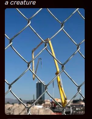 a photo of a crane on the other side of a chain link fence. the photo is captioned "a creature"
