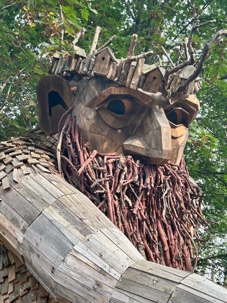 Close up photo of Oscar the Bird King’s face. He has eyes that track you as move side to side so he appears to be looking at the camera. He is made of reclaimed wood materials. His body and face is mostly wood boards but his beard looks like roots and he has a crown of bird houses.