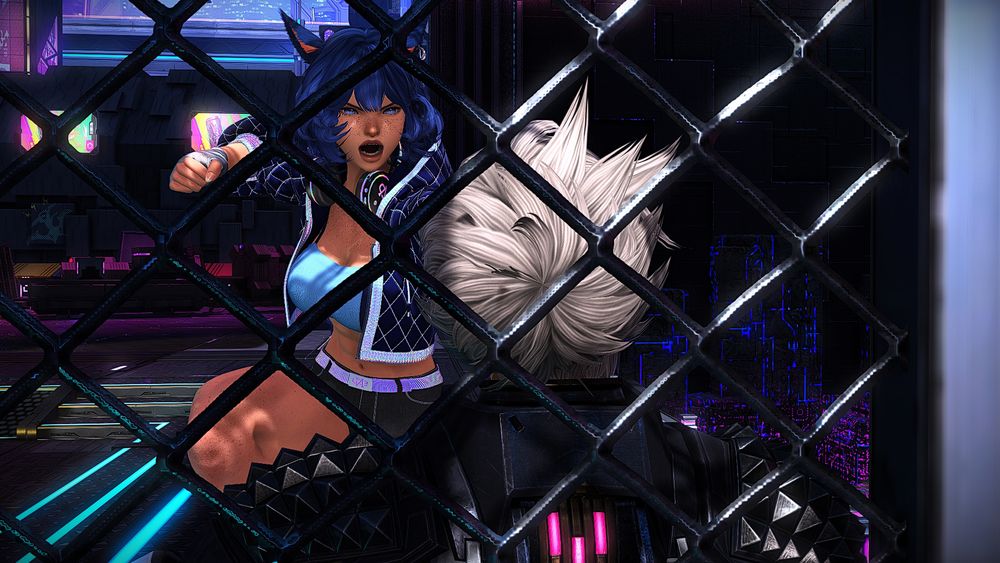 An angry Keiko, a smaller muscular female miqo’te, is seen from behind the head of a white haired armored npc through the fence in solution 9. 