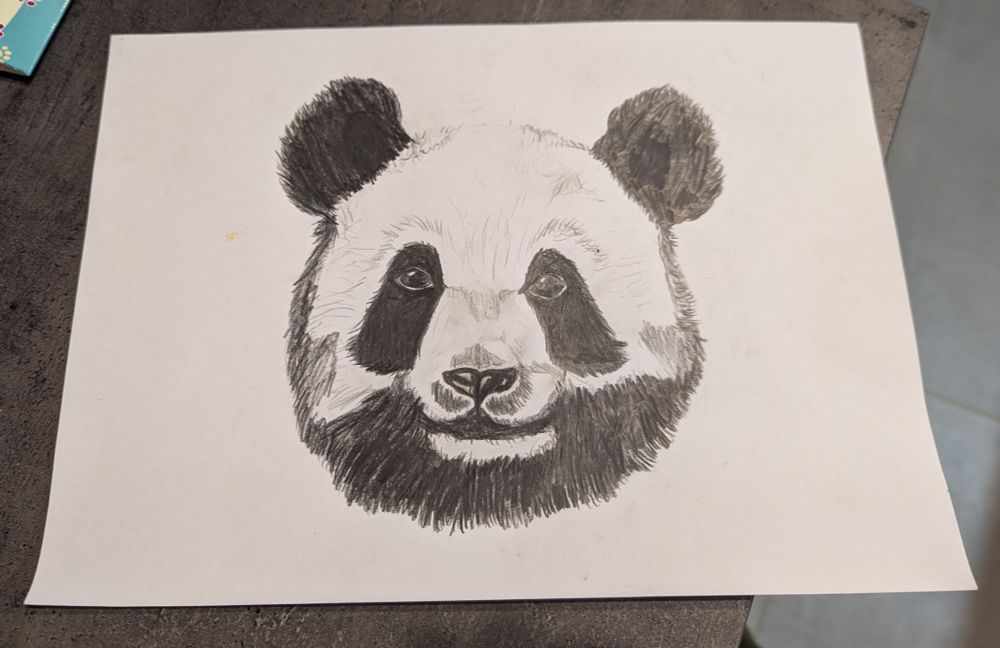 Dessin de panda