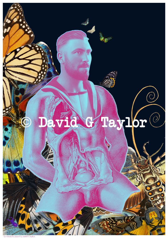 Surreal artwork fusing a vintage photo of a sailor with a Victorian anatomical illustration of a dissected man. with a colourful background made up of entomological (insect) illustrations including butterflies