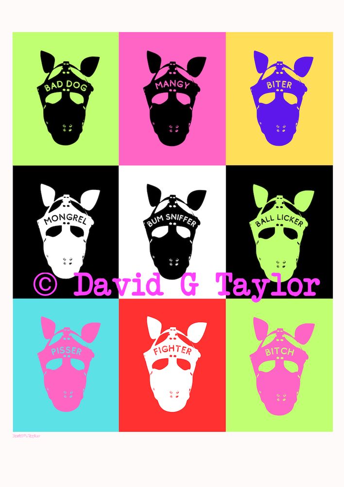 Humorous art influenced by Andy Warhol screen prints showing a grid of 9 boxes. each with a fetish puppy play dog mask in different colour ways 