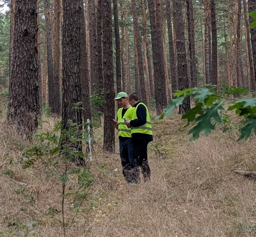 Two people wearing yellow safety vests working with a sensor device in a pine forest.