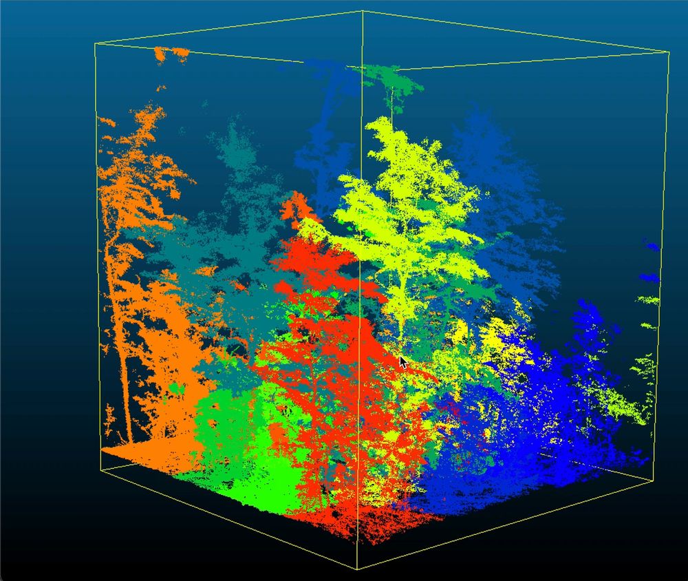 Point cloud of a forest captured with a terrestrial laser scanner. Different trees are displayed in several colours to highlight individual structures within a 3D space.