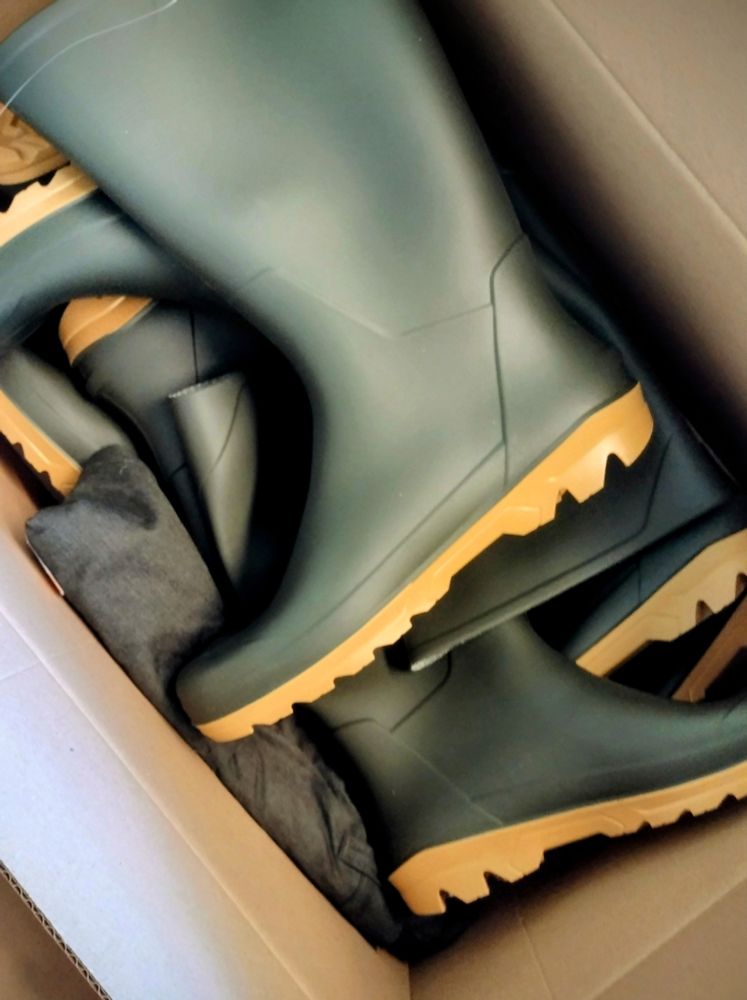 Wellington boots in a box