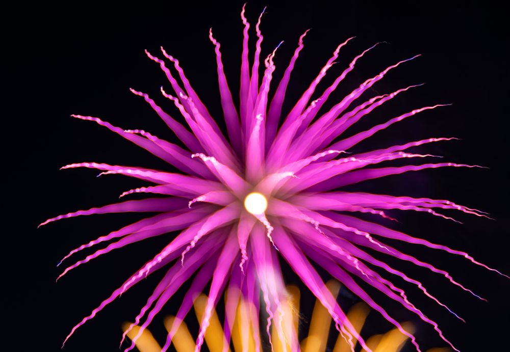 All four images are long-exposures of fireworks. This one makes a pink firework almost look like a spiky plant. The pink streaks are cone-shaped with a bright circle in the middle. Yellow, glowing streaks of light emit from the bottom of the frame against a black night sky.