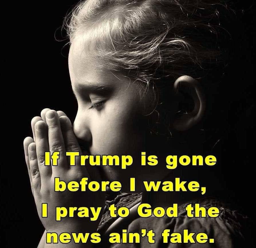Picture of a little girl praying: If Trump is gone before I wake, I pray to God the news ain’t fake 