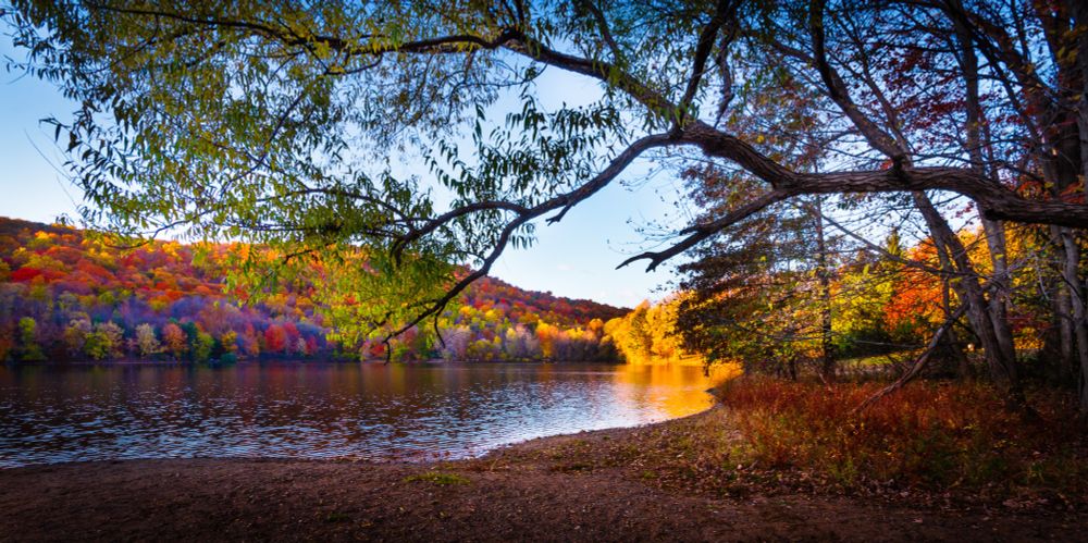 Landscape photo of a lake in the fall. There are hills in the background where the leaves are turning various colors. There is a large tree in the front coming from the side. 