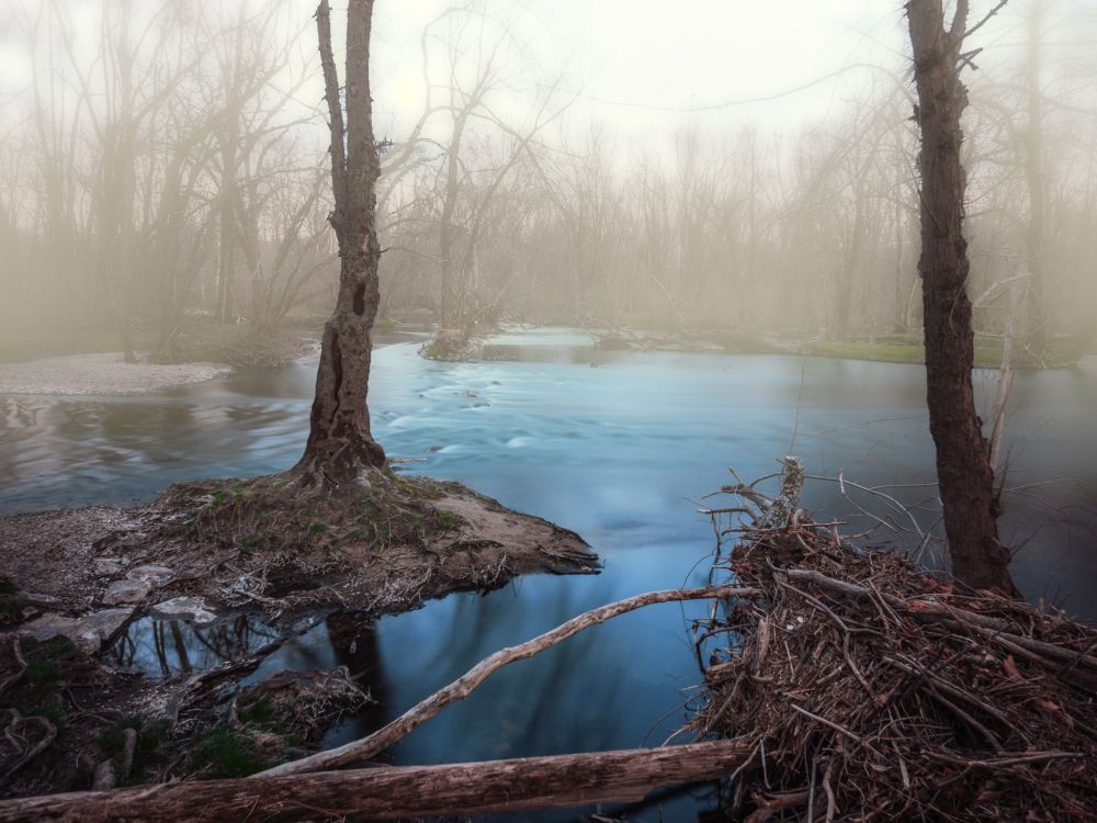Photo of a foggy creek 