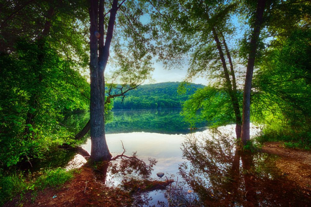 Photo of a lake taken in such a way that the landscape in the background reflecting off the water has the shape of a Coke bottle on its side. 