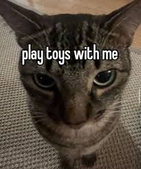 Comment image