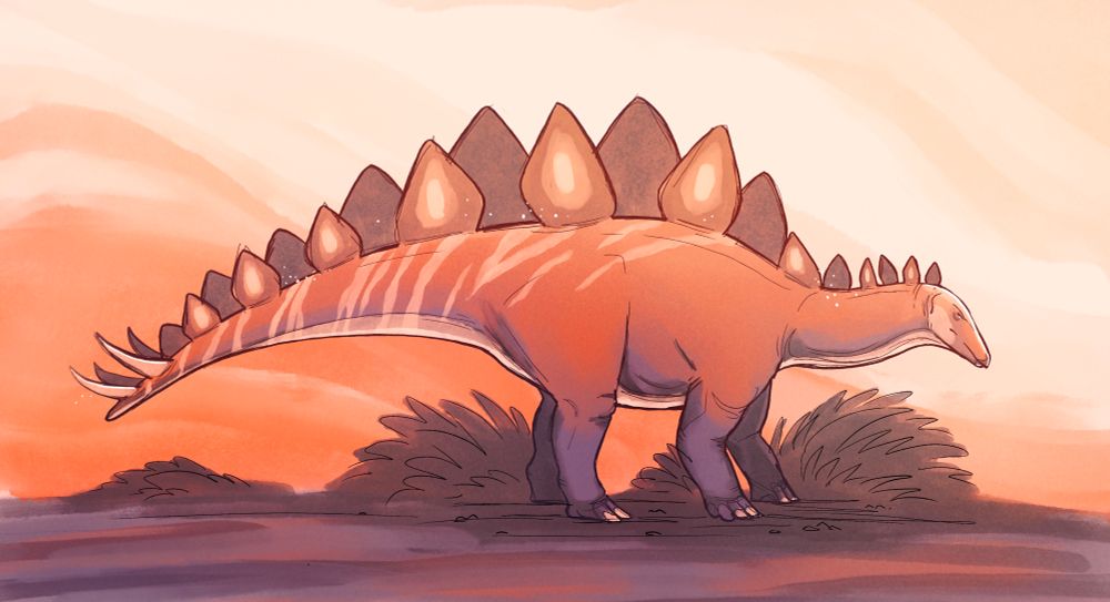 A striped, orange stegosaurus. Bushes of fern fluff around its feet. The sky is orange and white like wispy clouds.
