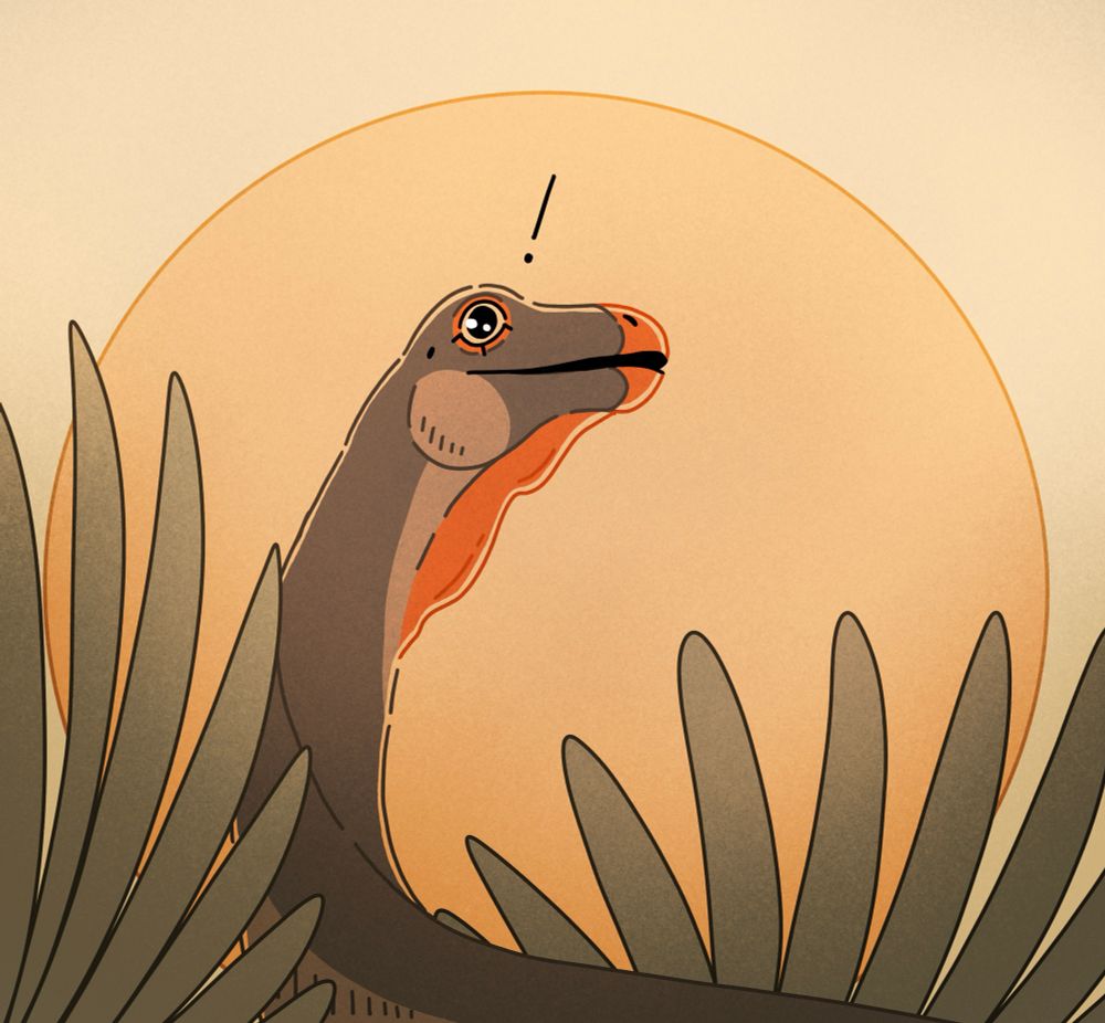 A Gallimimus framed by the sun and tucked away in the ferns. An exclamation point floats above its head.