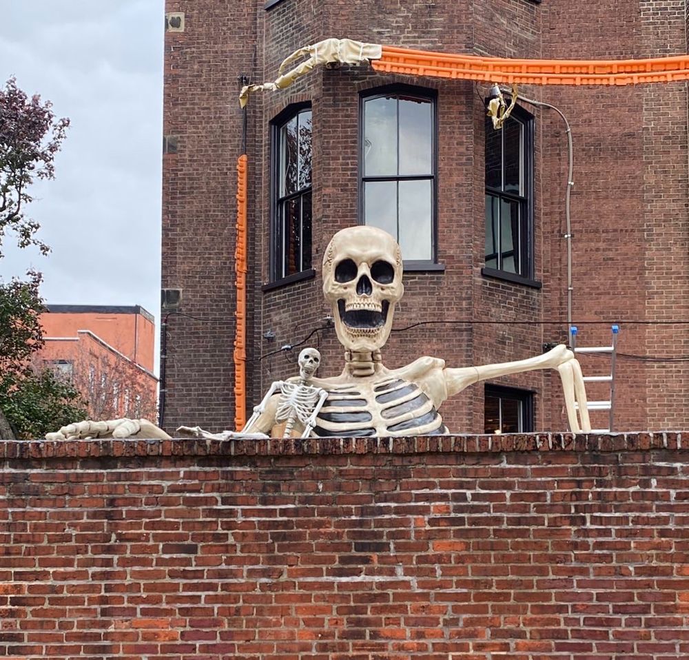 Big skeleton + Little skeleton 