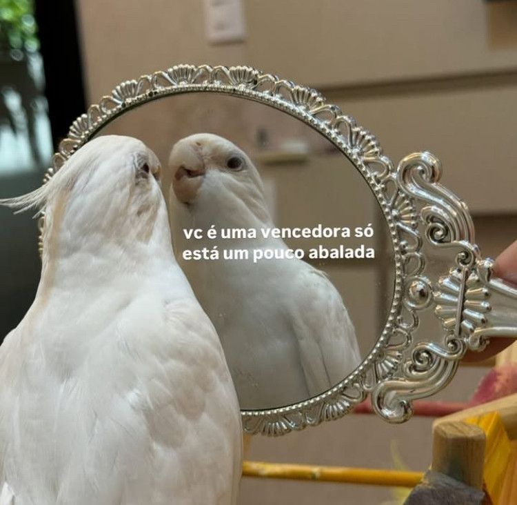 Comment image