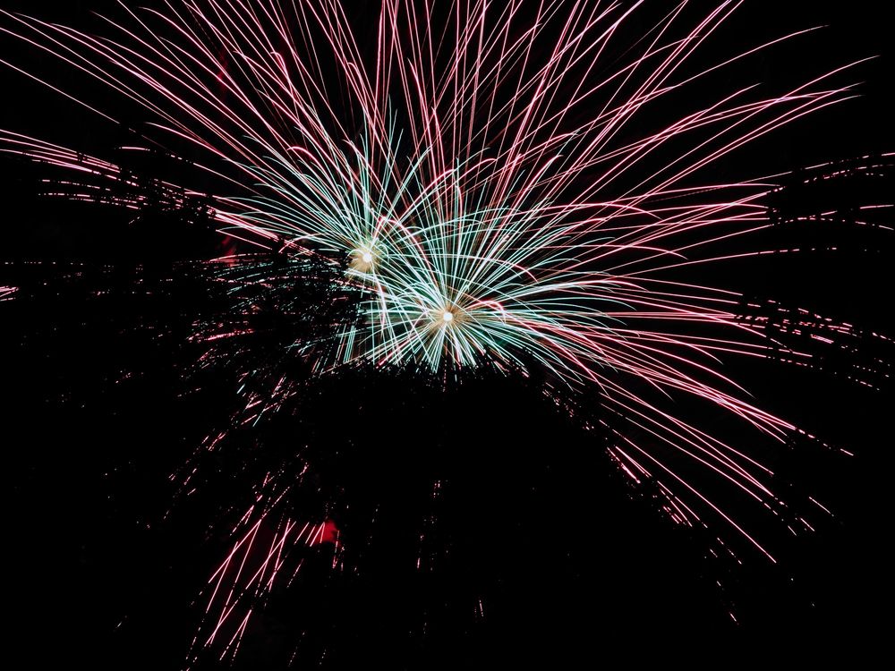 Two multicolored fireworks—green inside, red outside—burst close together and expand over the whole photo, framed by silhouettes of tree branches on all sides except the top