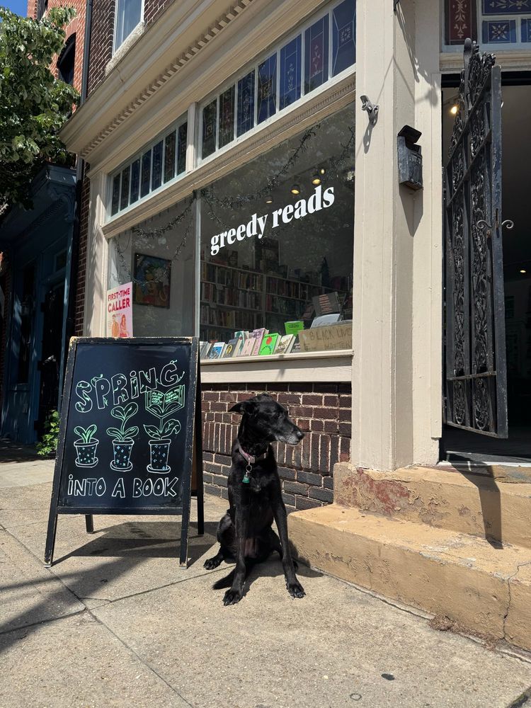 Image of a chalkboard “ spring into a book” outside our corner bookstore on a sunny day in fells point, with shop dog Audie sitting beside it