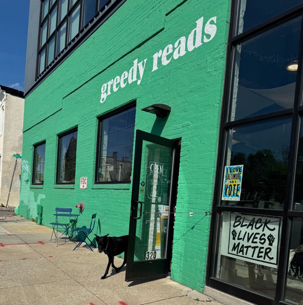 A photo of our shopdog Audie peeking out the front door of our big green Remington store, with just a hint of beautiful blue sky showing in the background 