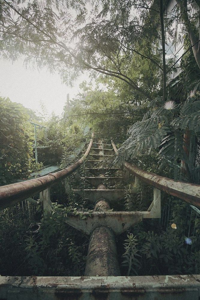 Jungle Coaster