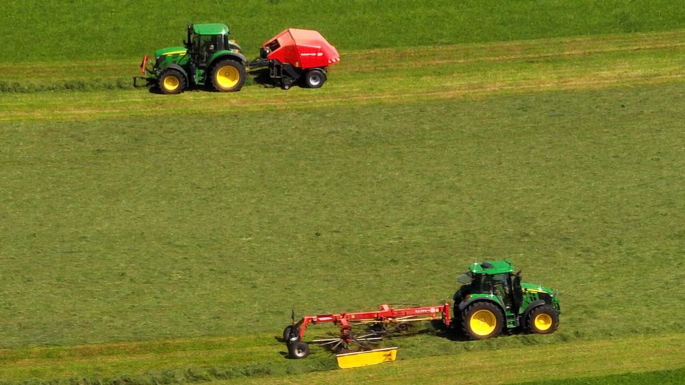 Landwirte - Bauernverband: Wirtschaftliche Lage der Bauern hat sich erheblich verbessert