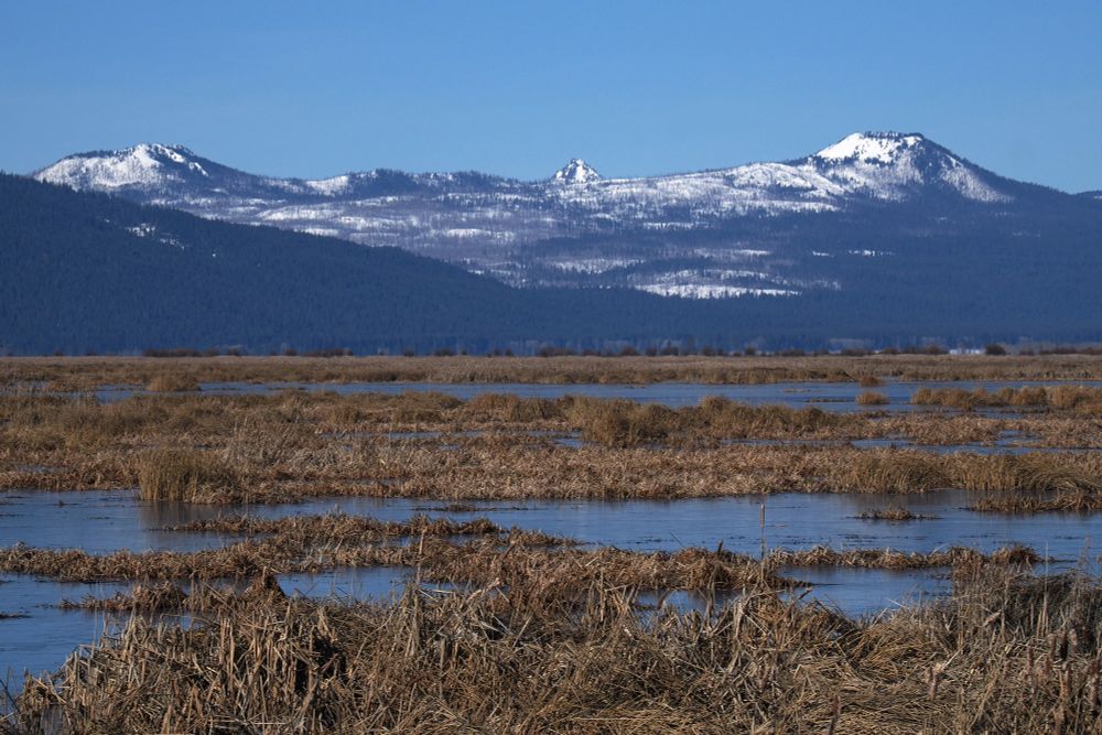 The spire of Union Peak, in the southwest corner of Crater Lake National Park, appears in the background, center. Goose Egg, left middle ground, and Goose Nest, right middle ground are high points in the northeast section of the Sky Lakes Wilderness in southern Oregon.  