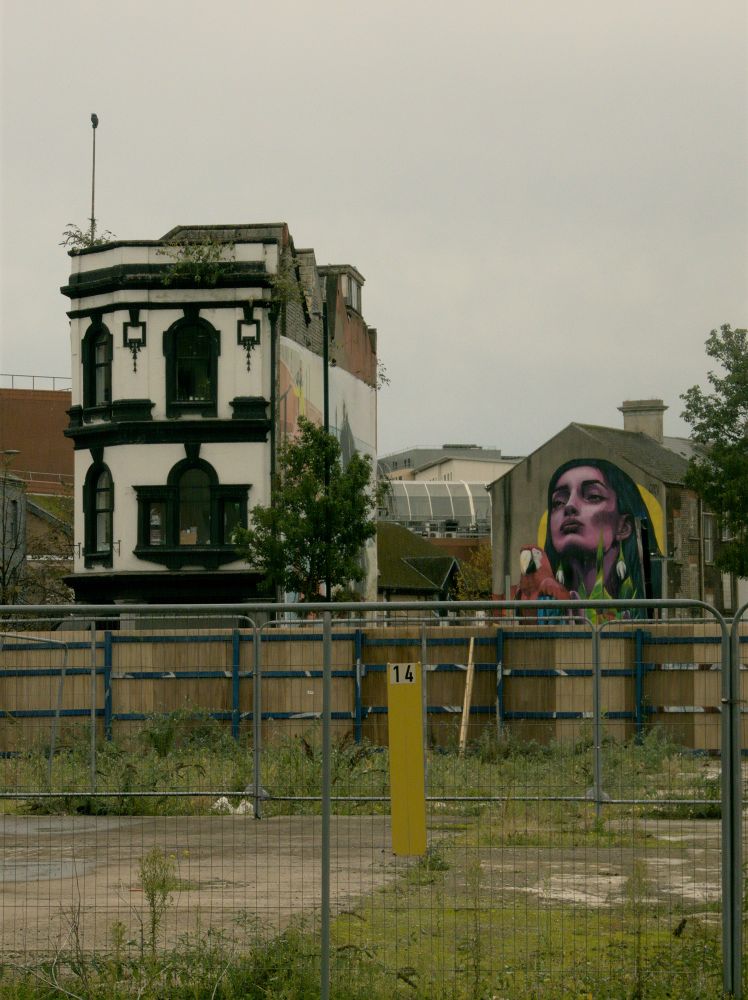 A fenced off urban waste ground in the foreground, with some old buildings in the background, one of which features a colourful mural of a woman and a parrot.