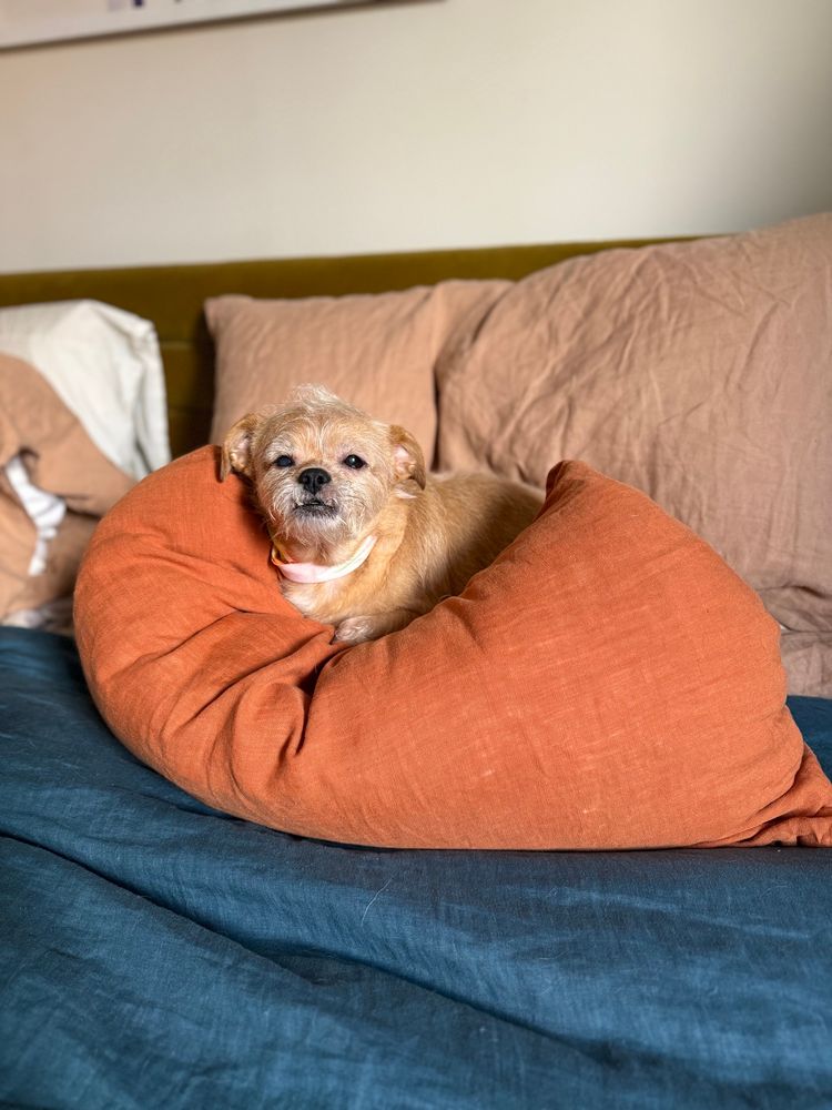 Morley Safer’s happy place 