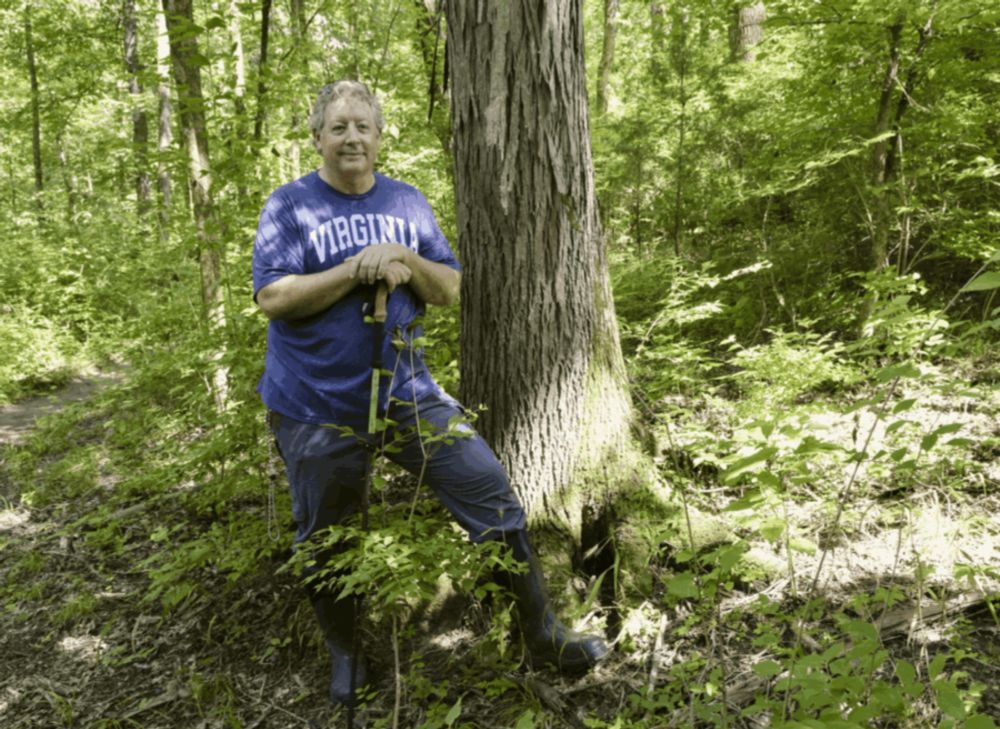 In the forest between Warner Park and Cheekwood, Nashville wants to build a road