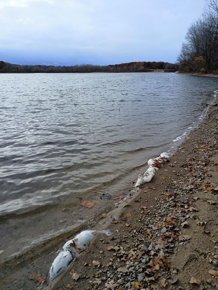 There is more foam on the water here. There are little bits of leaves and gravel in the sand. 