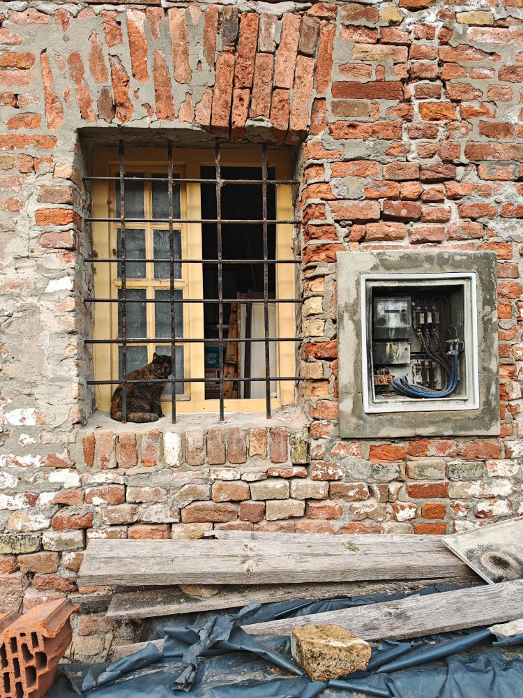 Tortoise cat sitting on a window sill of a 17century fortress in Osijek, Croatia